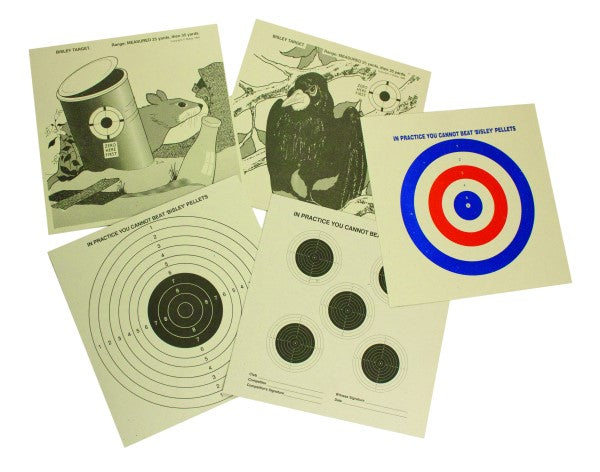B&W DOUBLE SIDED TARGETS (PKT. 25)