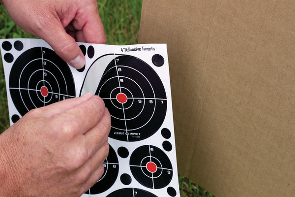 CROSMAN VISIBLE IMPACT TARGETS