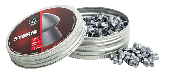 BSA STORM PELLET .22