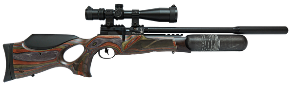 BSA R12 CLX PRO WILDERNESS .22 PCP