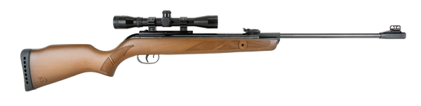 GAMO HUNTER 440 SPRING AIR RIFLE .22