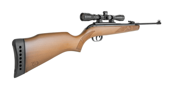 GAMO HUNTER 440 SPRING AIR RIFLE .22