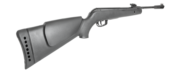 GAMO WHISPER STING SPRING AIR RIFLE .22