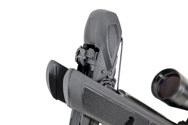 GAMO SWARM ROADSTER GEN 2 .22 MULTI_SHOT AIRGUN